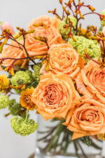 Bernsteinlicht – Bild 2