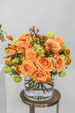 Bernsteinlicht – Bild 4