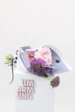 Samtviolett – Bild 4