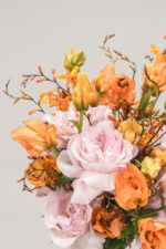 Sonnenmoment – Bild 3