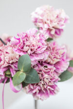 Rosenwolke – Bild 2