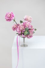 Rosenwolke – Bild 3
