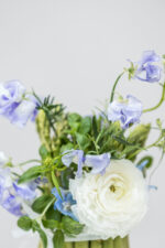 Morgentau – Bild 2