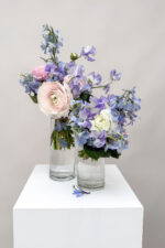 Violettschimmer – Bild 3